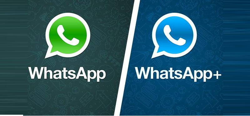 whatsapp vs whatsapp plus